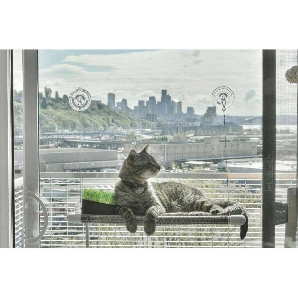 Cat Perch R728