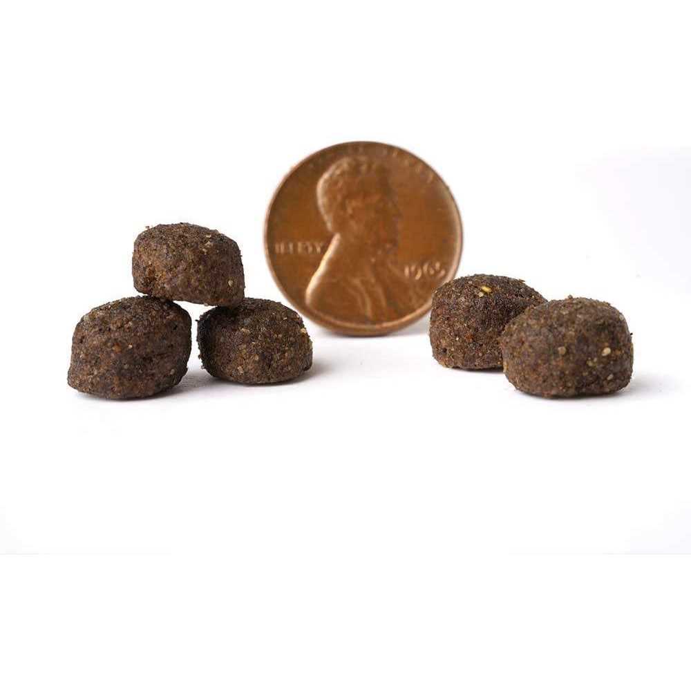 Grain Free Dry Dog Food Y77355