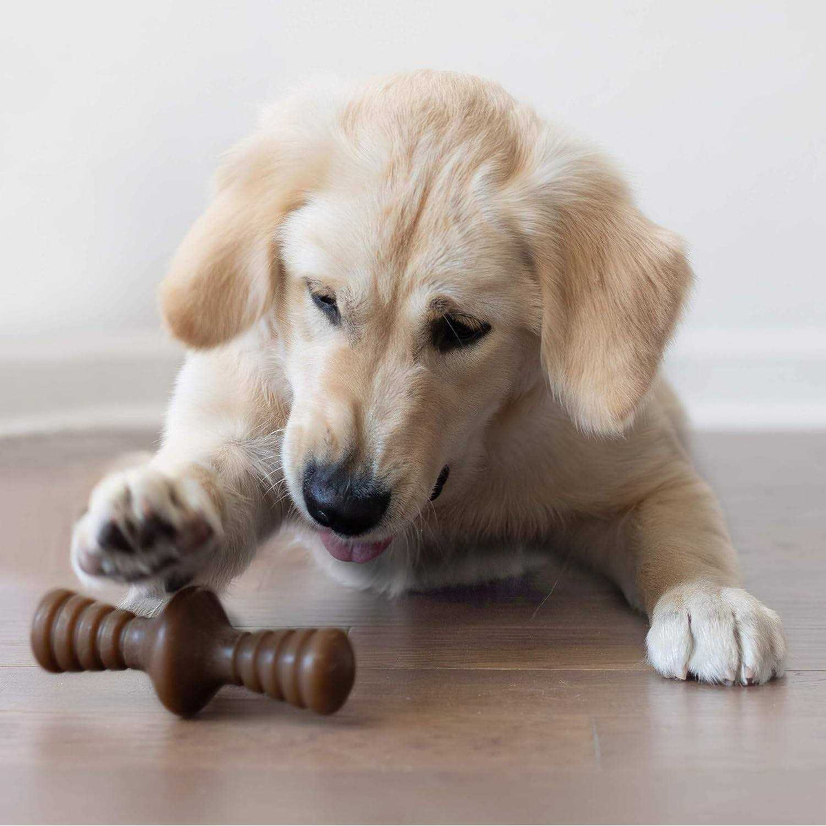Pet Supplies Q794
