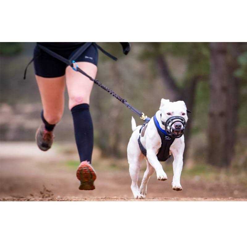 Breathable Silicone Basket Dog Muzzle Y214868