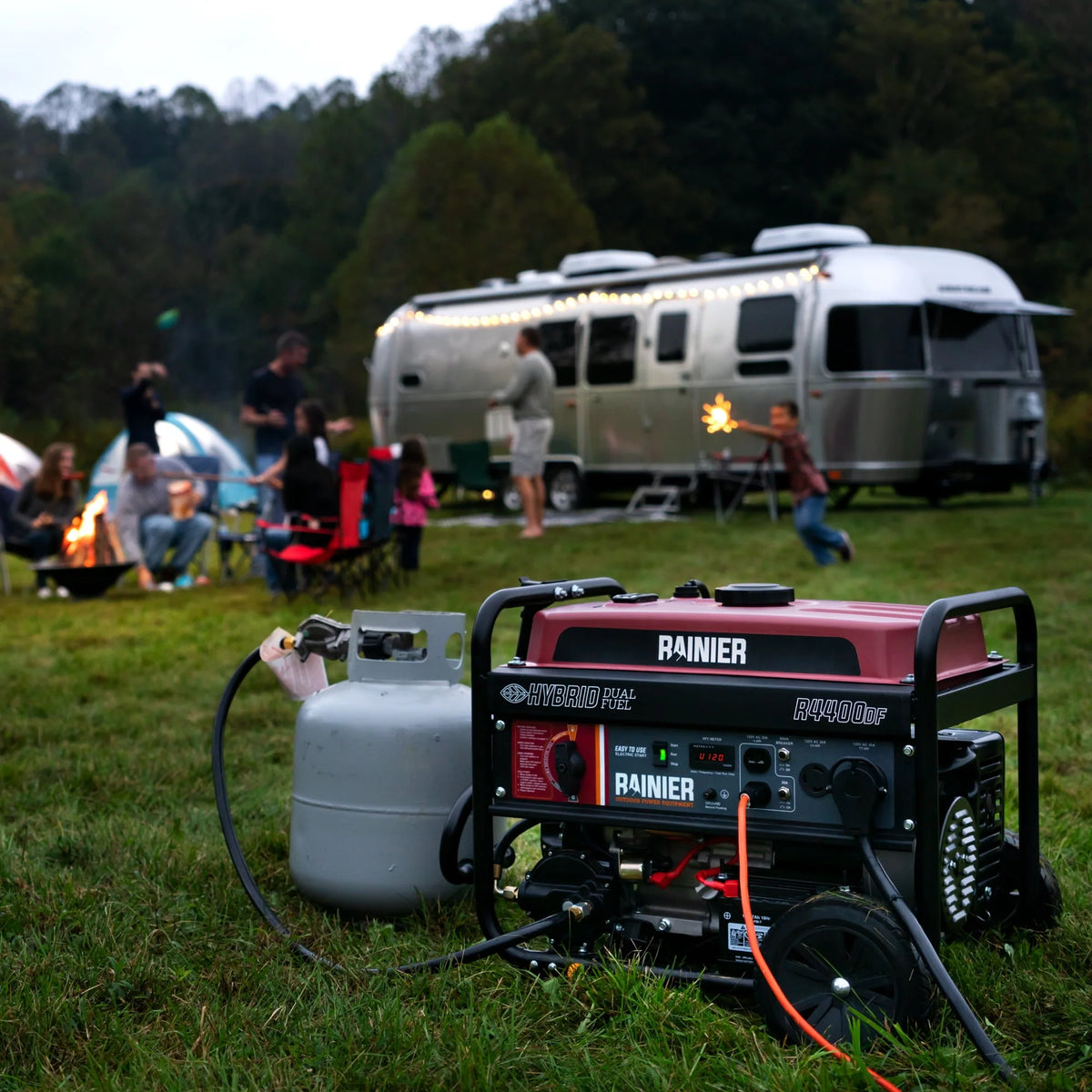 4400 Watt Dual Fuel Portable Generator with Electric Start F16027