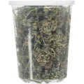 Catnip Buds N454