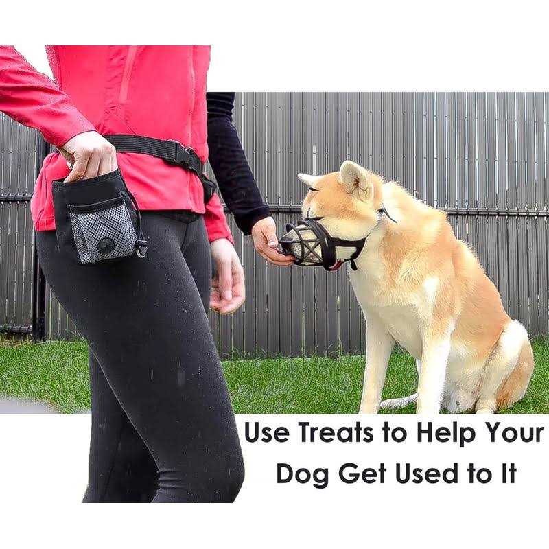 Breathable Silicone Basket Dog Muzzle Y214868