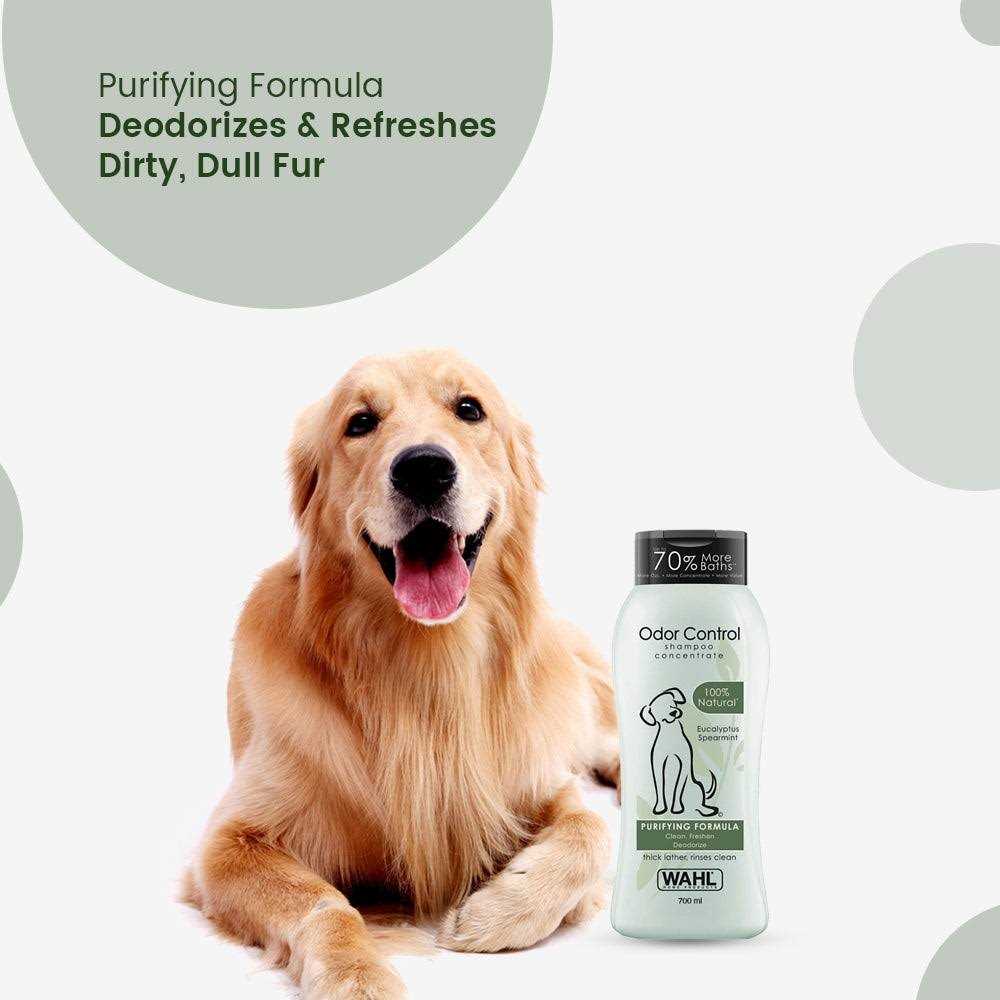 Odor Control Shampoo K65427