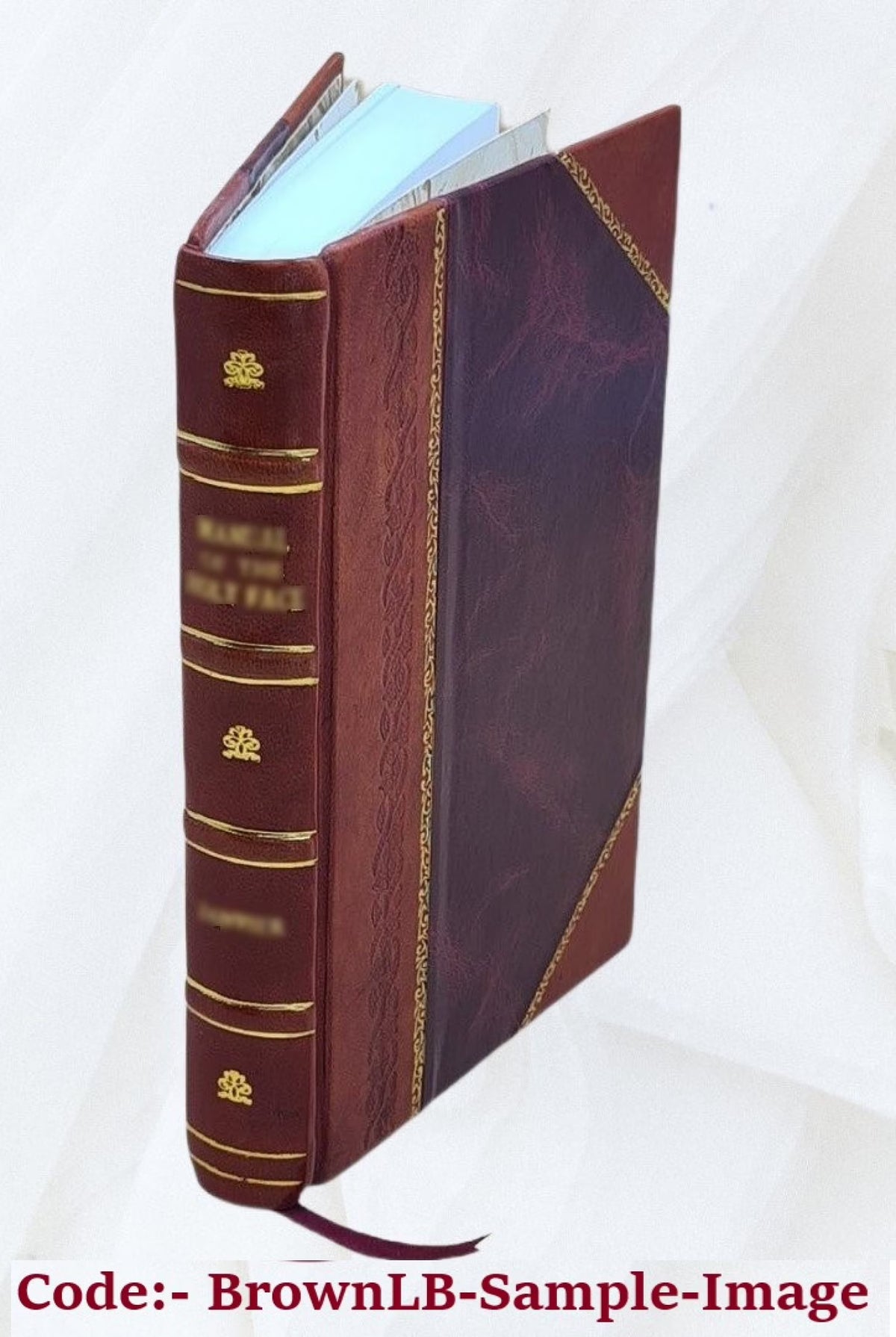 The AEneid of Virgil 1900 Leather Bound W60756