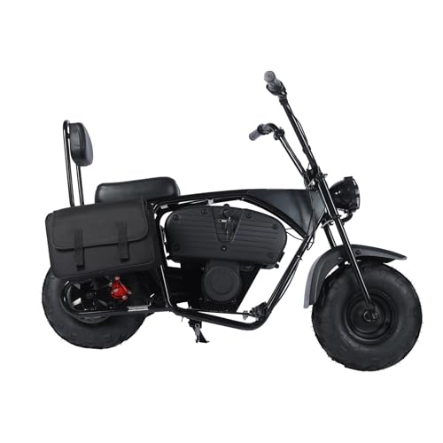 36V 1000W Electric Mini Dirt Bike A2884