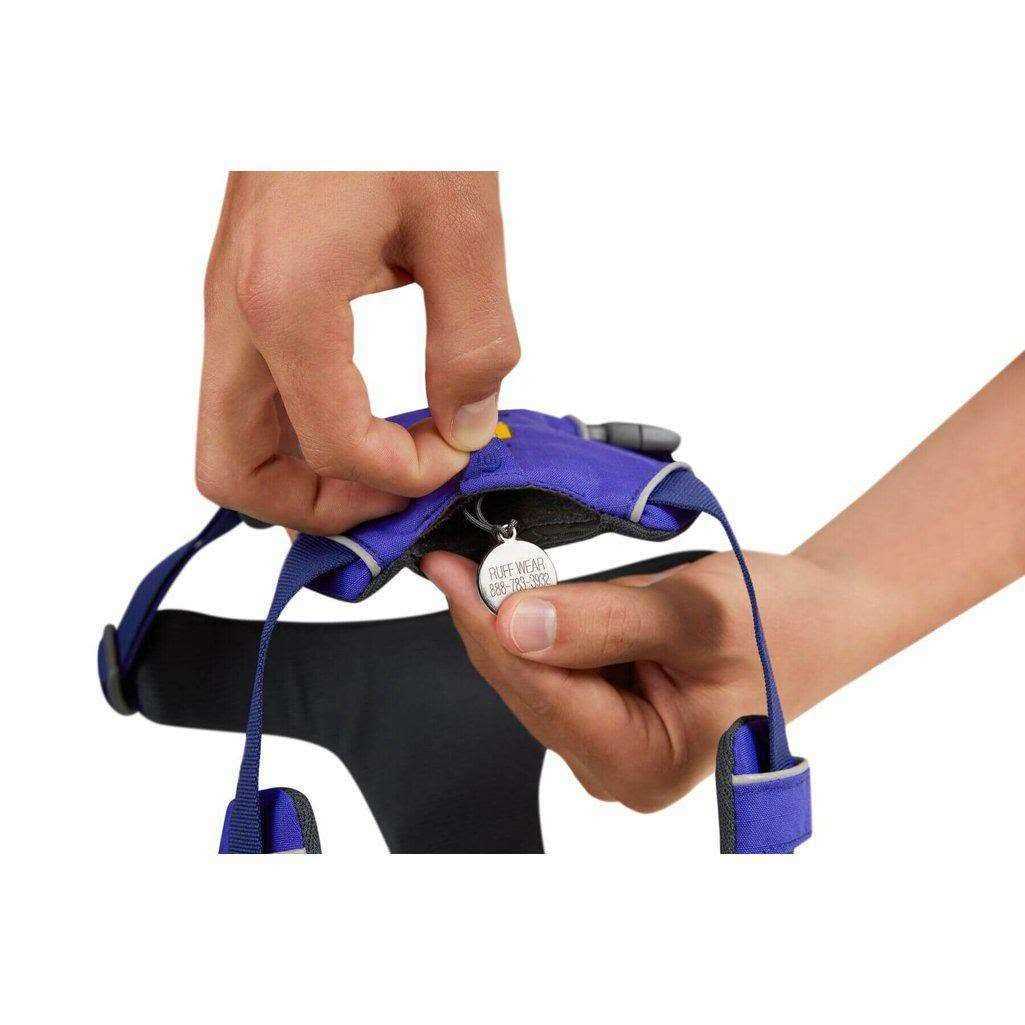 Front Range Harness D19159