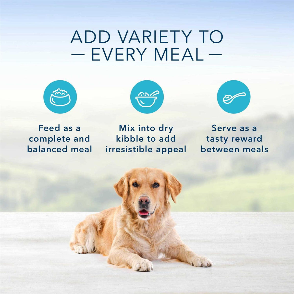 Homestyle Recipe Dog Food U8353