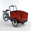 Cargo Bike Electric Dutch Tricycle I46473