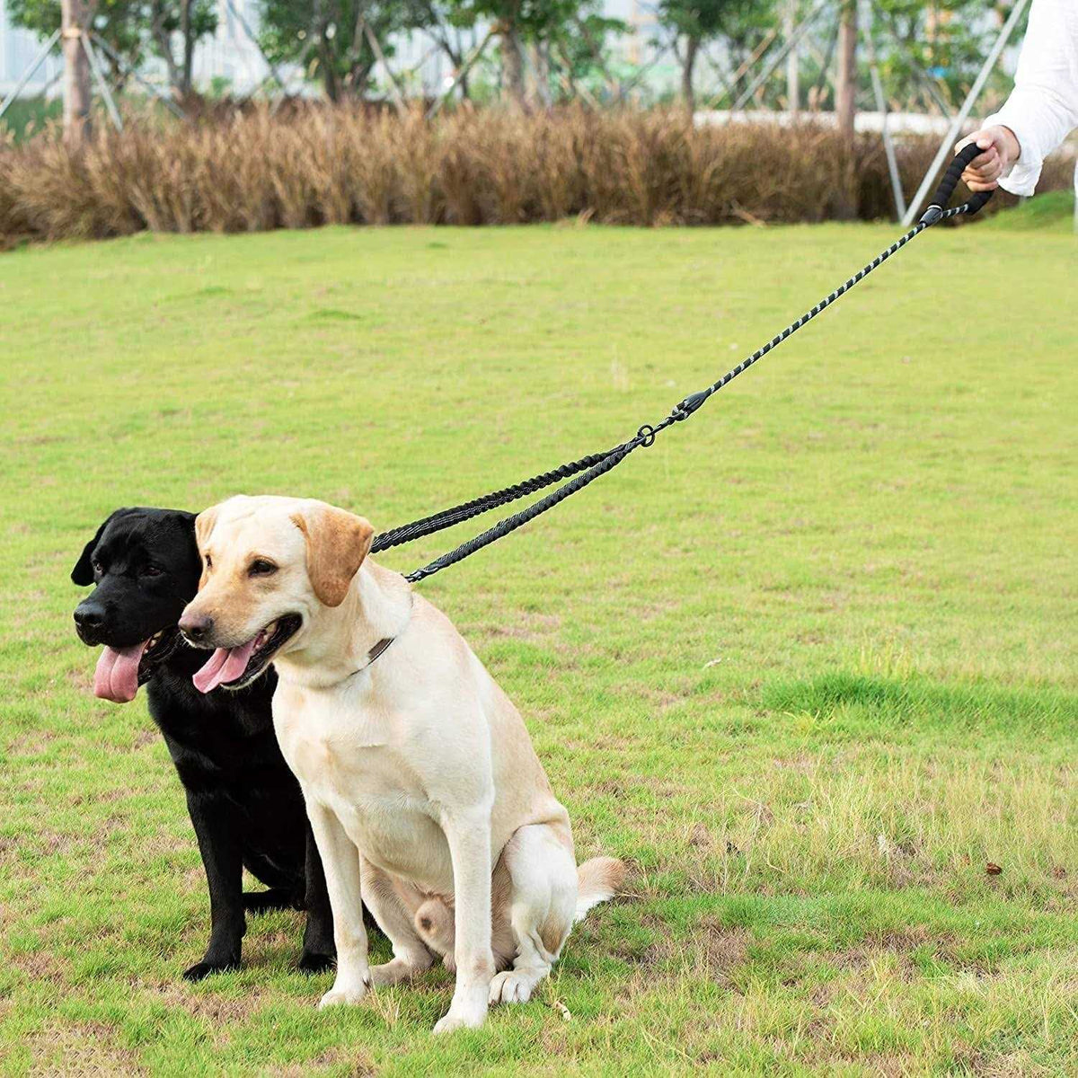 Double Dog Leash 360 Swivel No Tangle L730