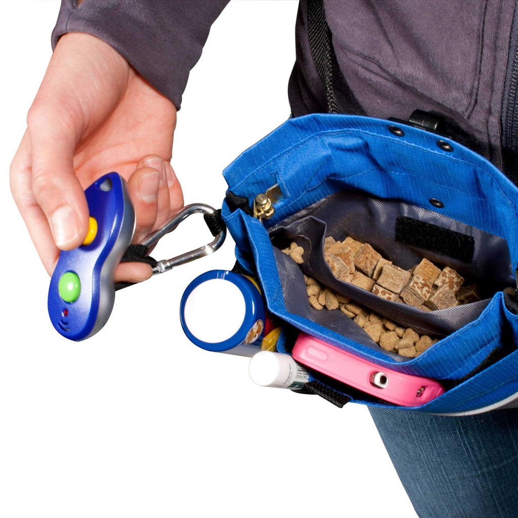 Treat Pouch Y6561