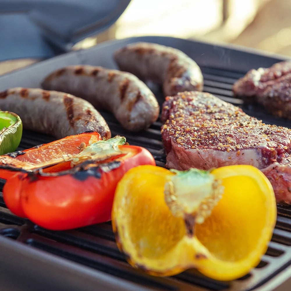 1 Burner Cast Aluminum Tabletop Propane Gas Grill Black X82987