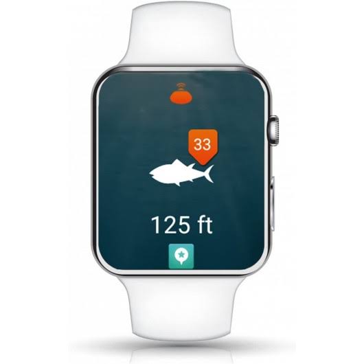 Wireless Bluetooth Smart Fish Finder T34033