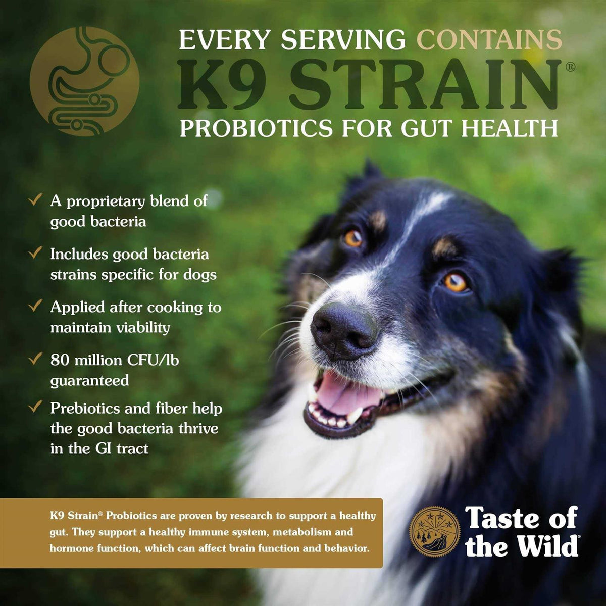 High Prairie Puppy Food B7951