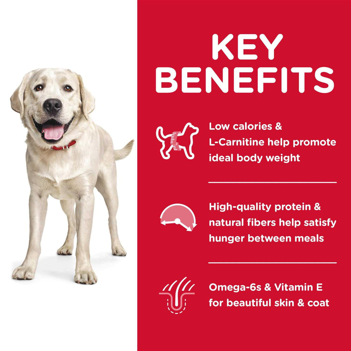 Chicken Meal & Barley Dry Dog Food T99317