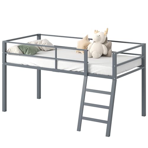 Grey Twin Loft Bed with Ladder and Guardrail G2887
