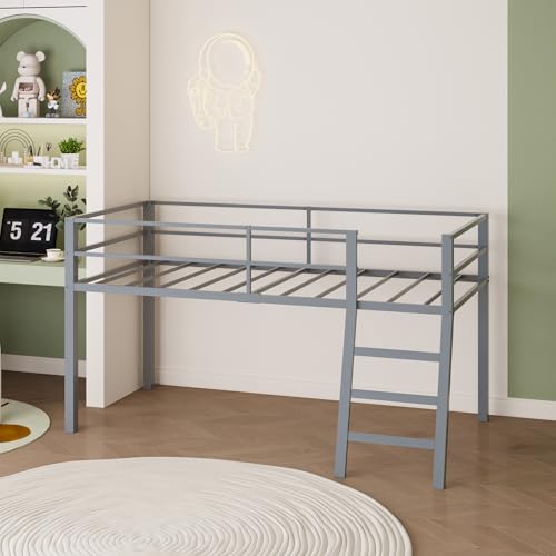 Grey Twin Loft Bed with Ladder and Guardrail G2887