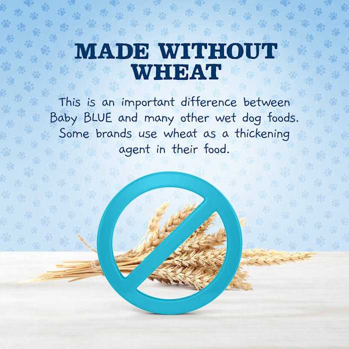 High Protein Grain-Free Turkey & Potato Recipe Puppy Wet Food W45658