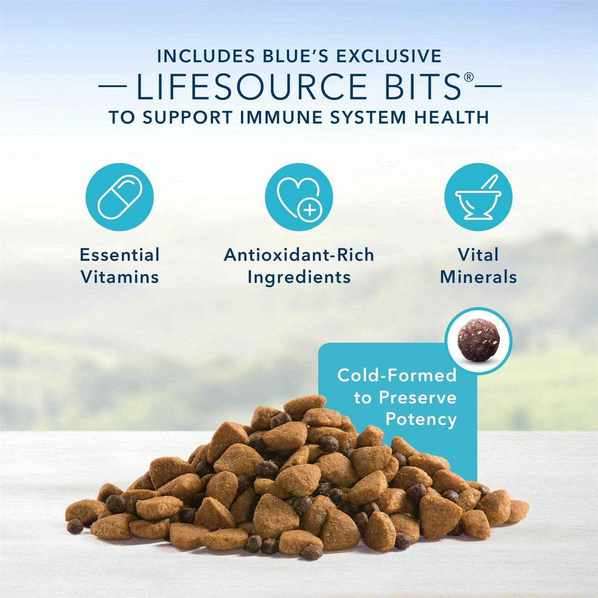 Large Breed Adult Lamb & Brown Rice Recipe Dry Dog Food O9408