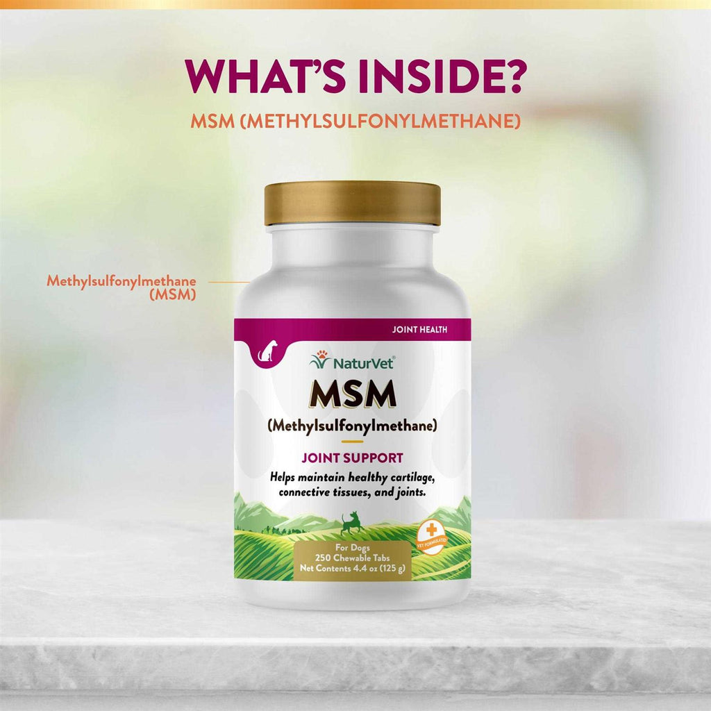 MSM Tablets for Dogs C68739