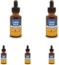 Organic Lemon Balm Liquid Extract 1 Ounce Pack of 5 Q670