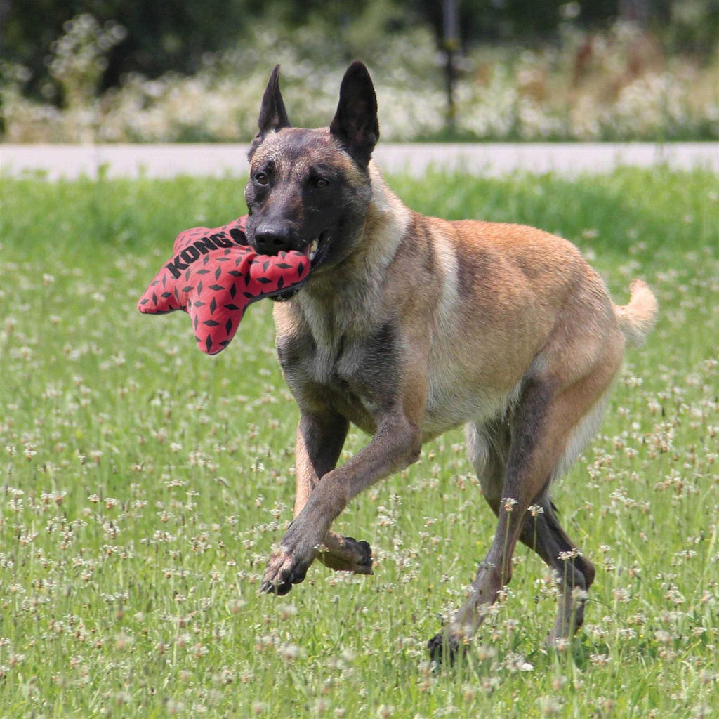 Dog Toy P604
