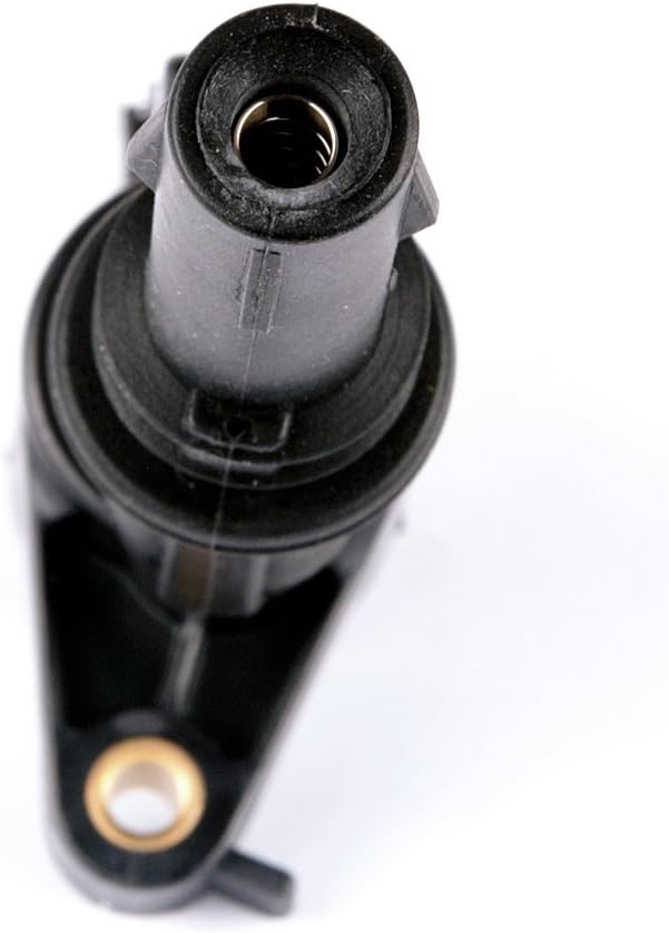 Ignition Coils and Spark Plugs Set of 8 A297
