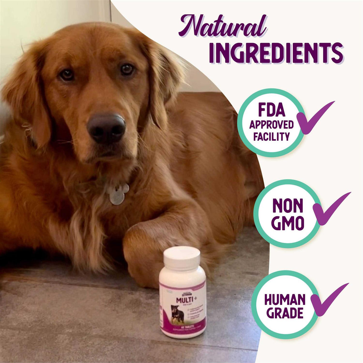 Lifetime Vitamins Z461902