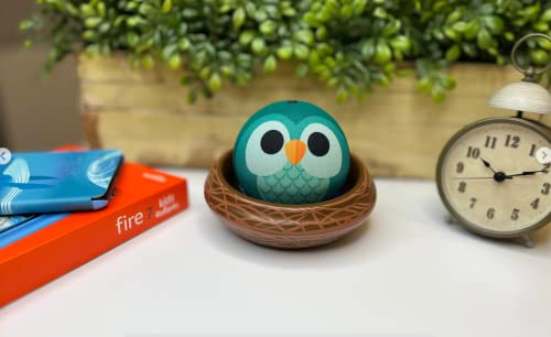 Owl Echo Dot H28044