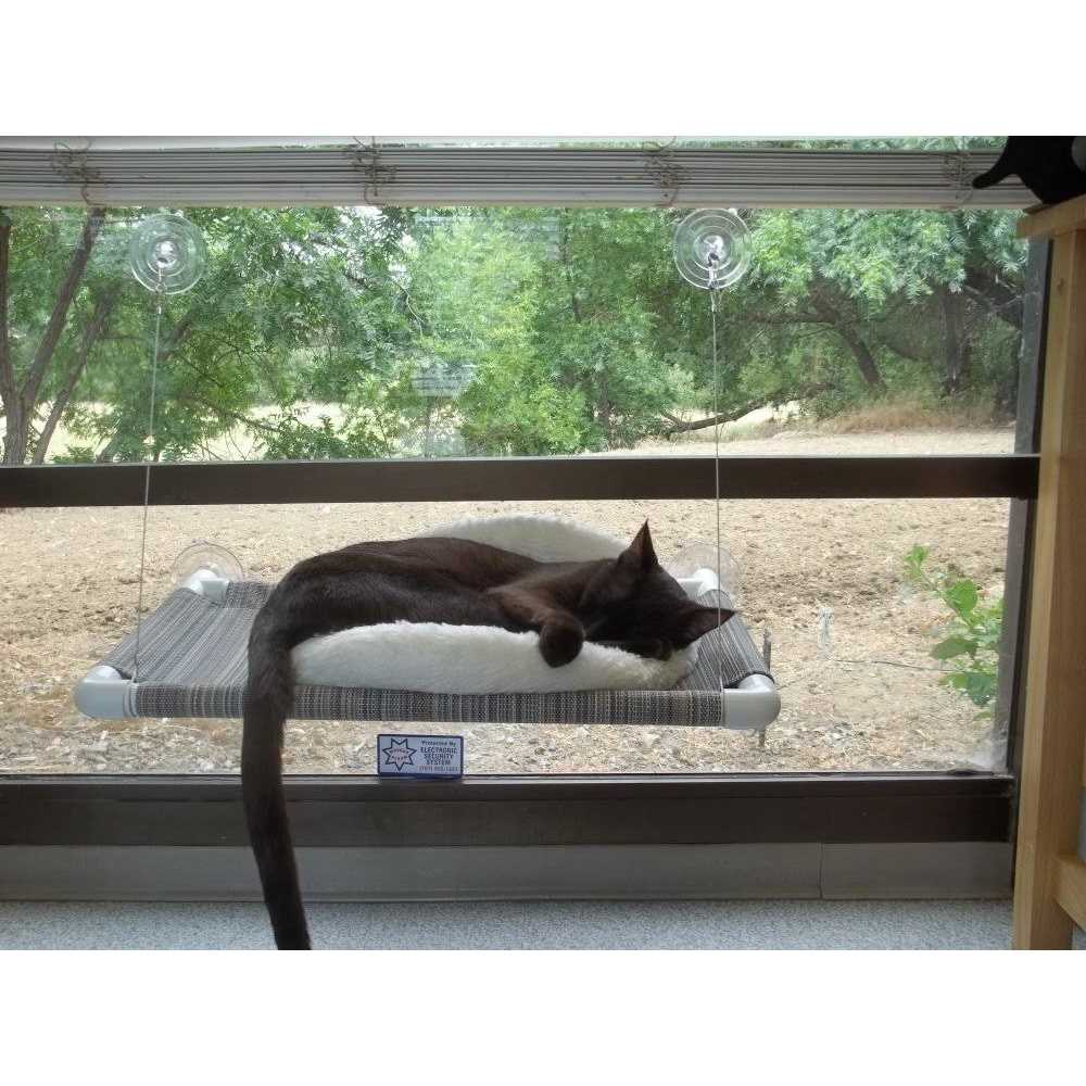 Cat Perch R728