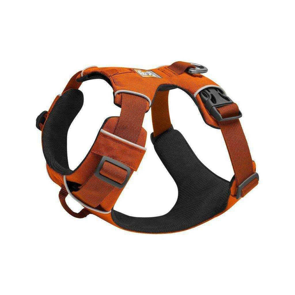 Front Range Harness D19159