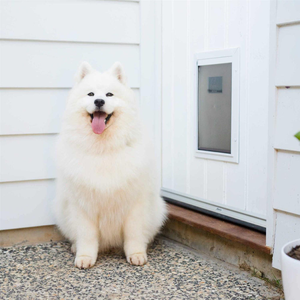 Aluminum Pet Door P15886