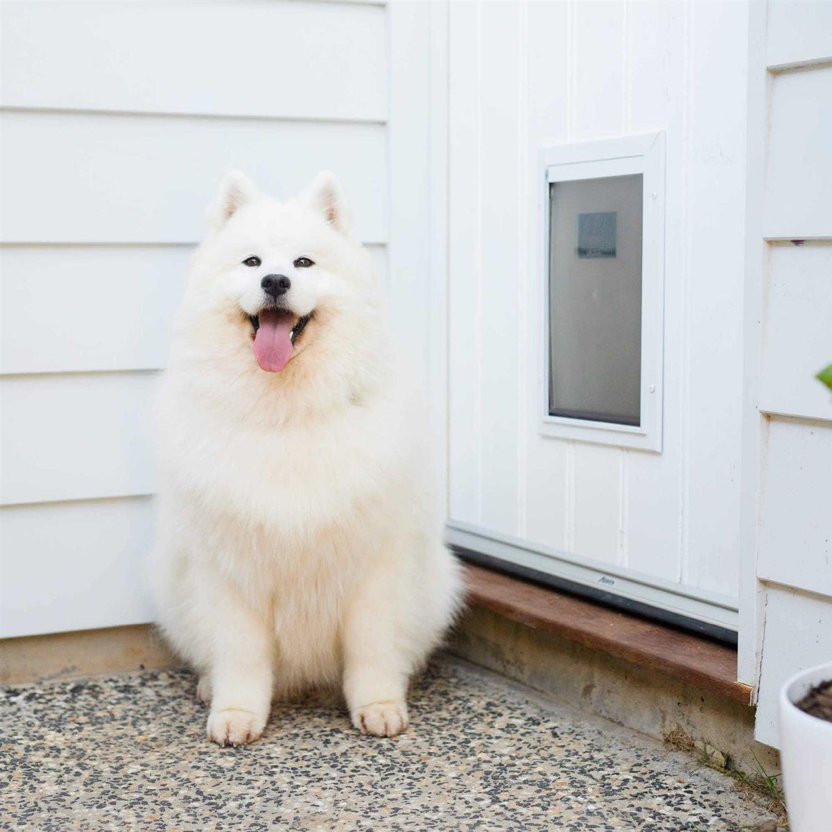 Aluminum Pet Door P15886