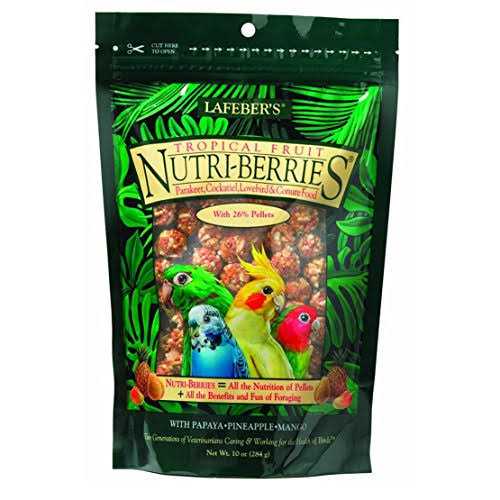 Parrot Food P9292