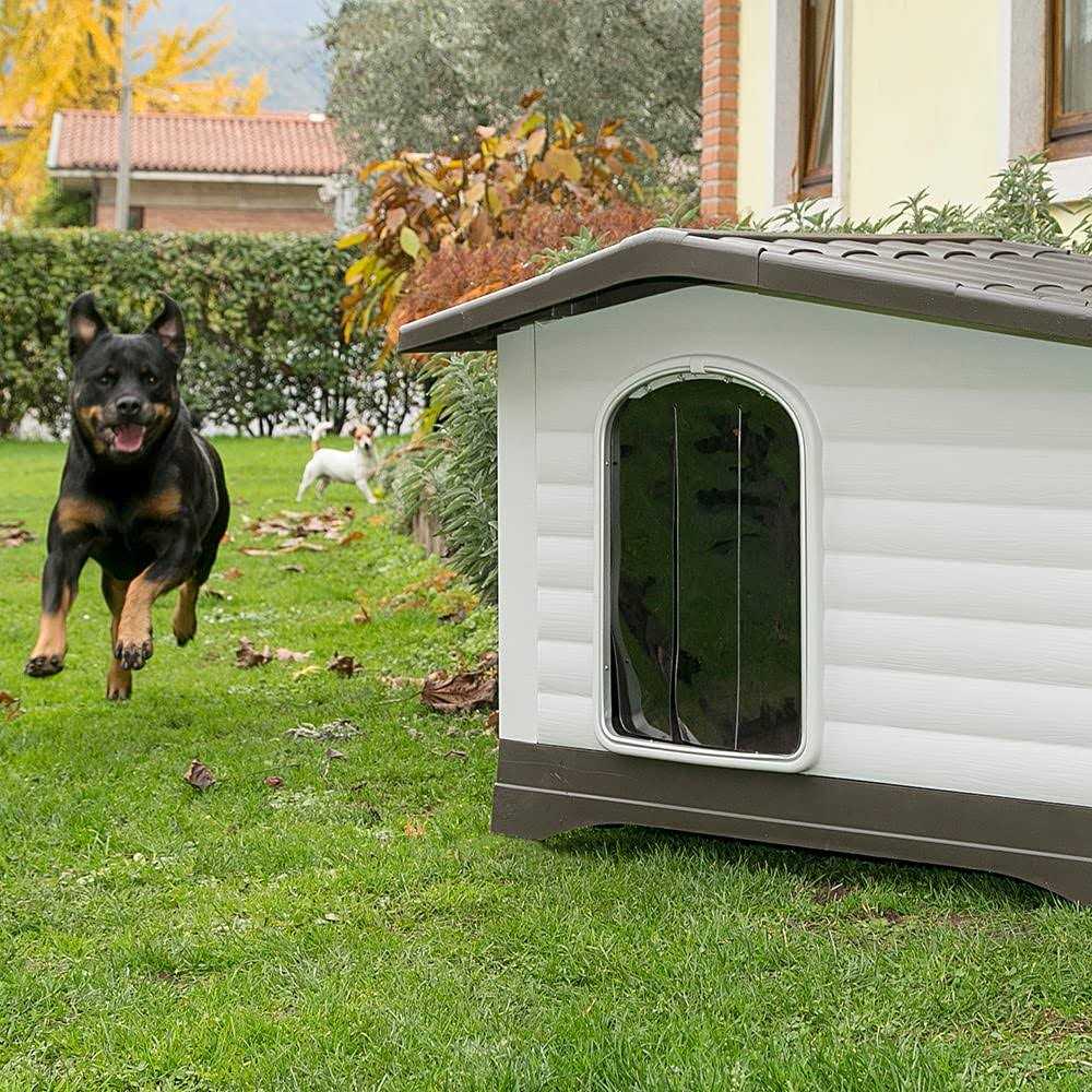 Dog Villa O744