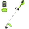 60V 16 String Trimmer with 4.0 Ah Battery & Charger R1220