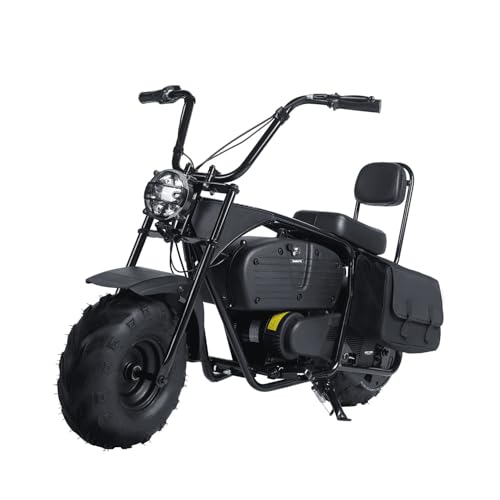 36V 1000W Electric Mini Dirt Bike A2884