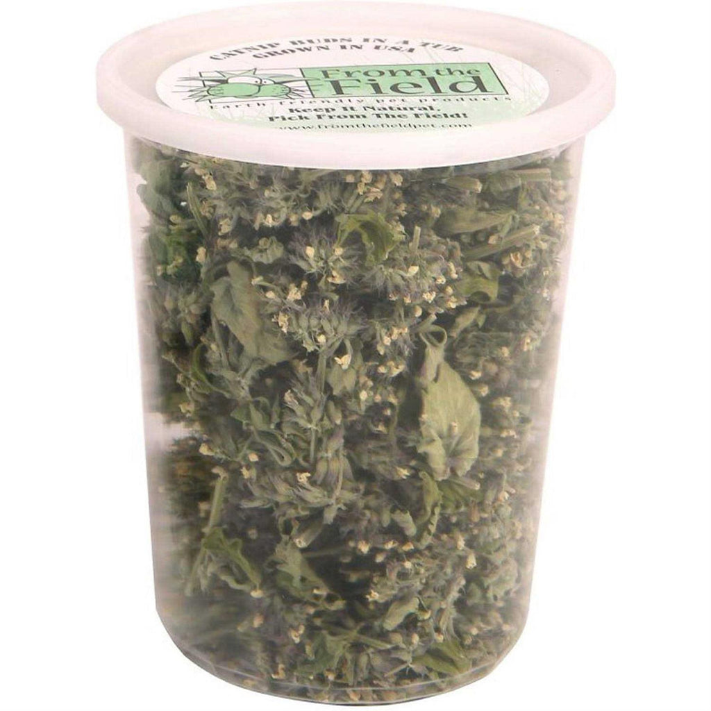 Catnip Buds N454