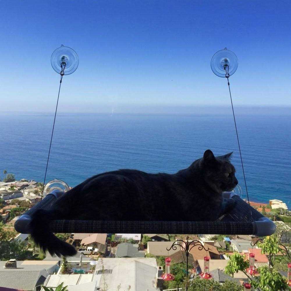 Cat Perch R728