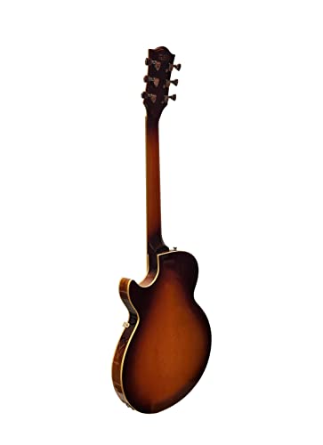 Tobacco Sunburst Jazz Solid Hollow-Body Electric Guitar W8282