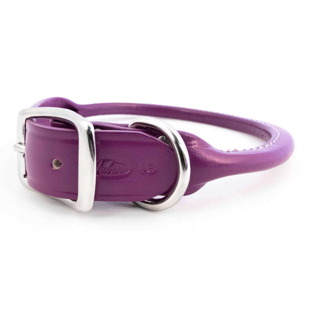 Leather Dog Collar T9649