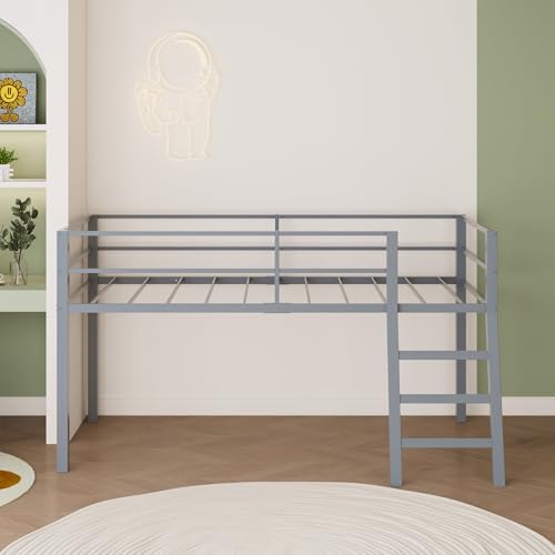 Grey Twin Loft Bed with Ladder and Guardrail G2887