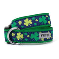 Dog Collar I933