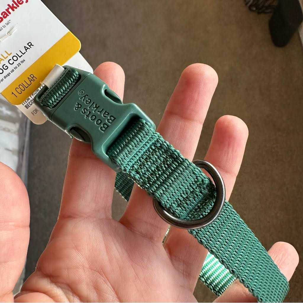 Basic Dog Collar W6683