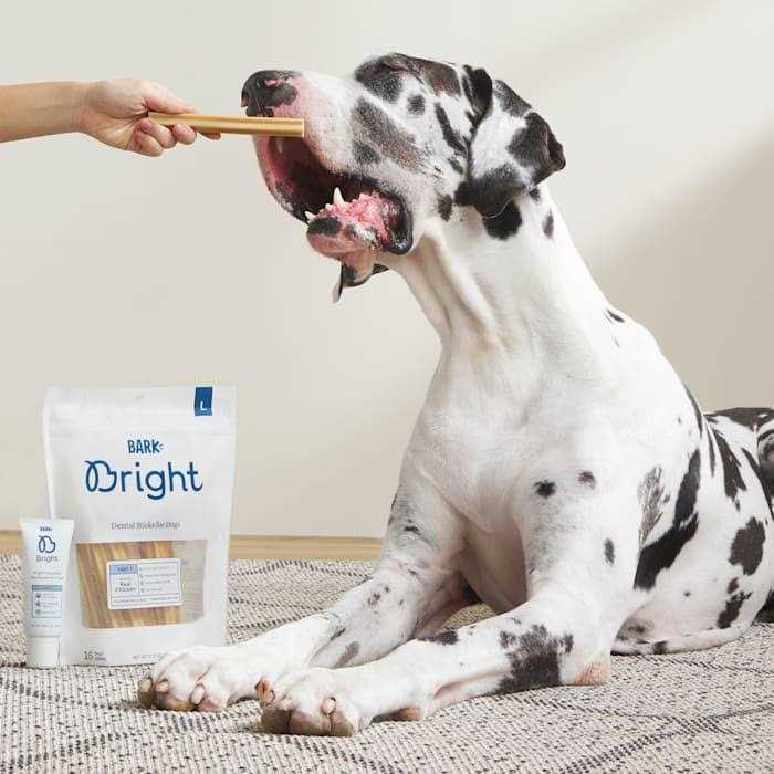 Dental Sticks for Large Dogs Chews H918197