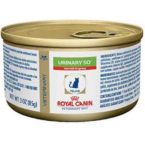Canned Cat Food Y977861