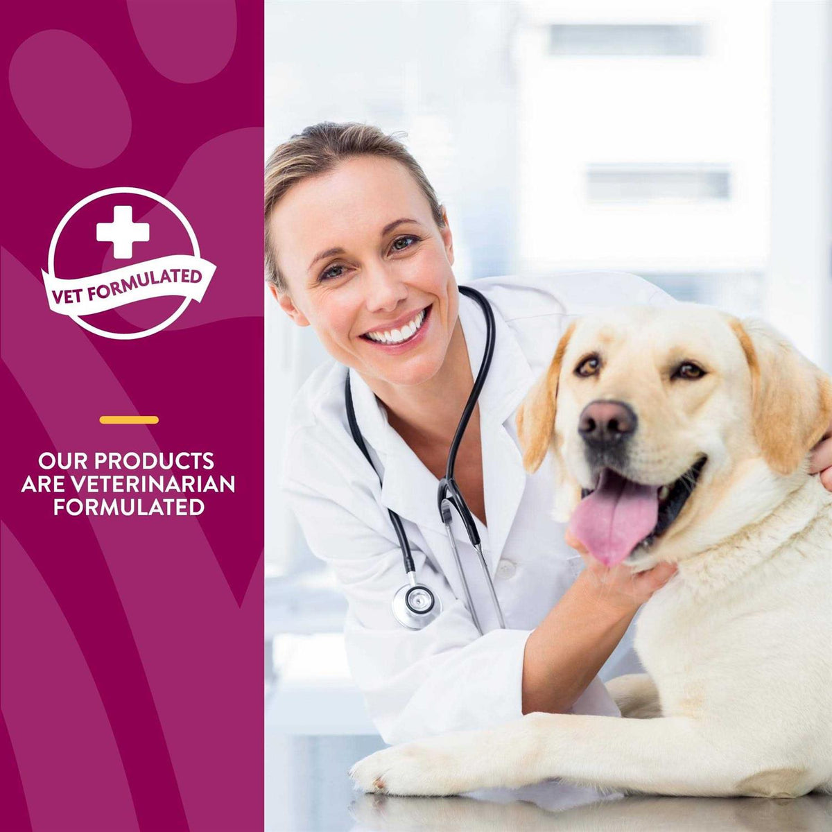 MSM Tablets for Dogs C68739