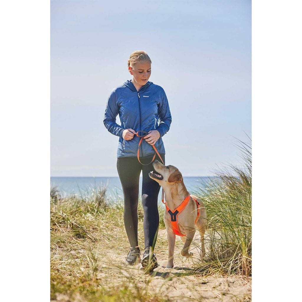 Dog Harness N77918