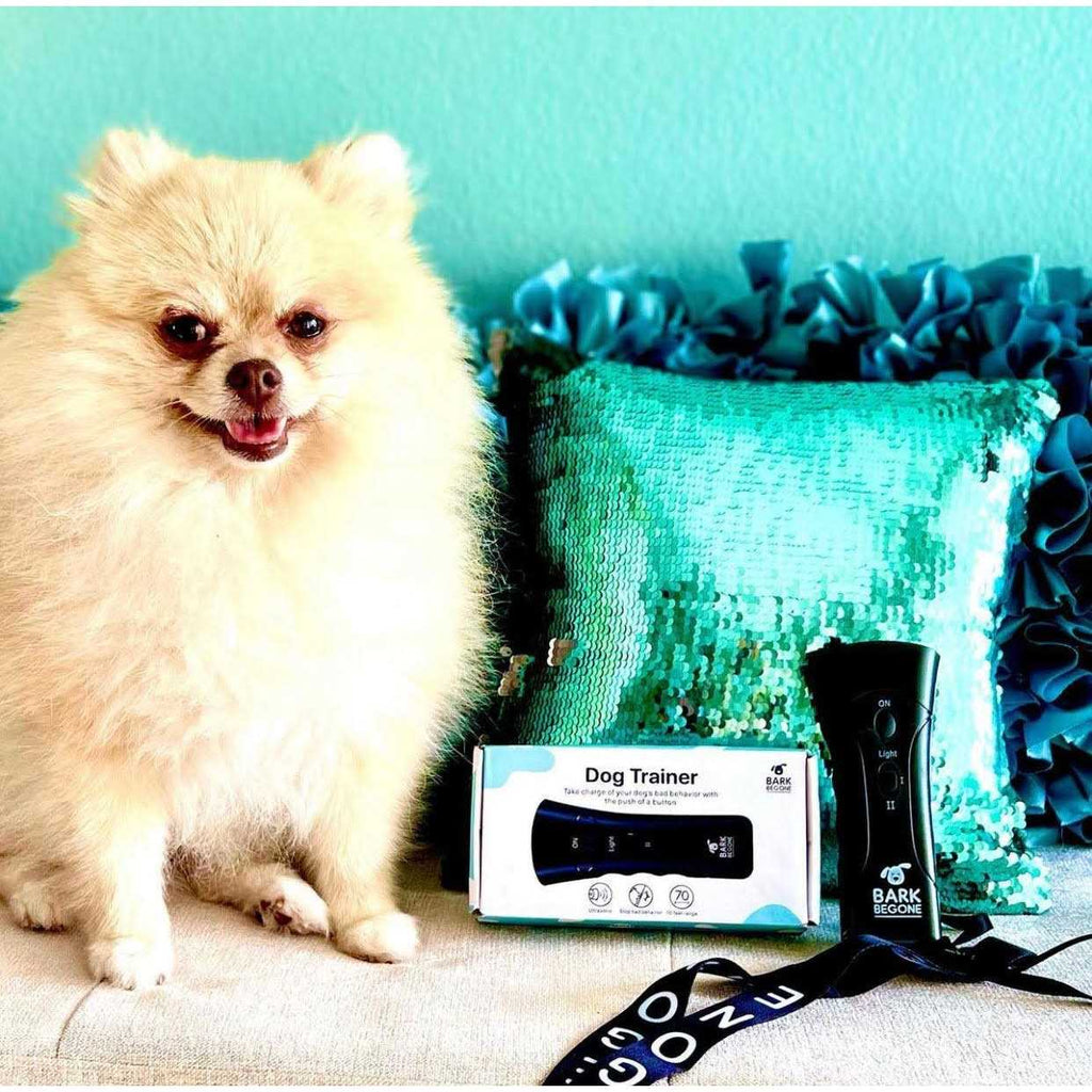 Ultrasonic Dog Trainer Q629042