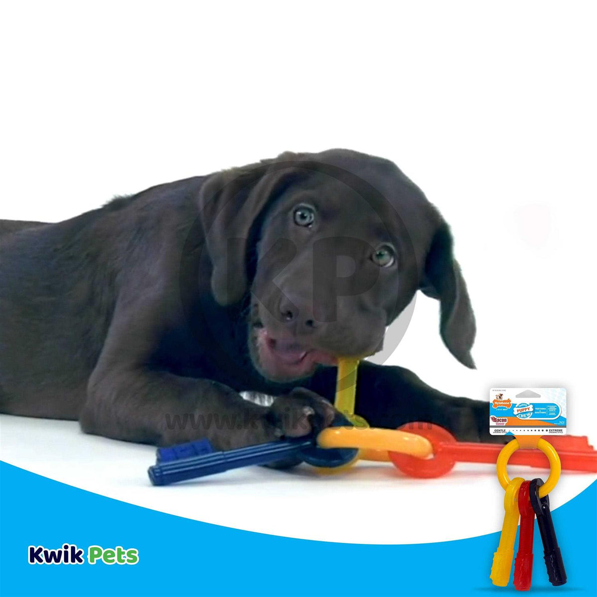 Puppy Chew Teething Keys D300